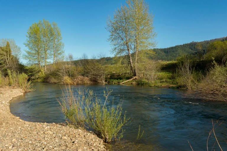 River Ranch RV Park Google Places photo