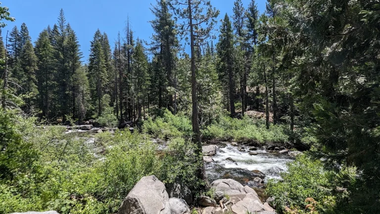 Rivers Resort, a dog-friendly restaurant in Strawberry, California