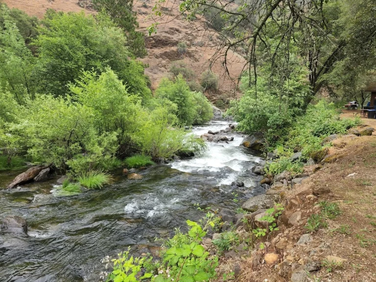 Roaring Camp Mining Co., a dog-friendly attraction in Pine Grove, California