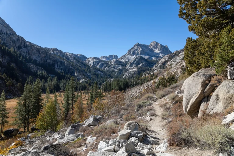 Robinson Creek Trail to Barney
