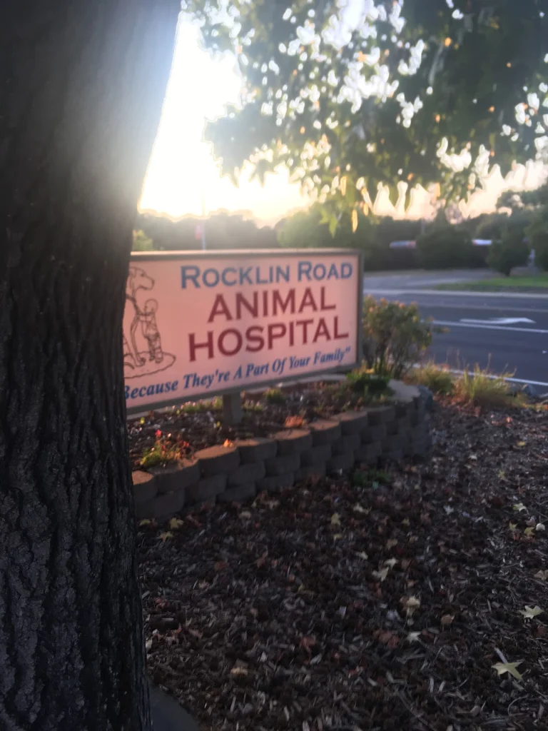 Rocklin Road Animal Hospital Google Places photo