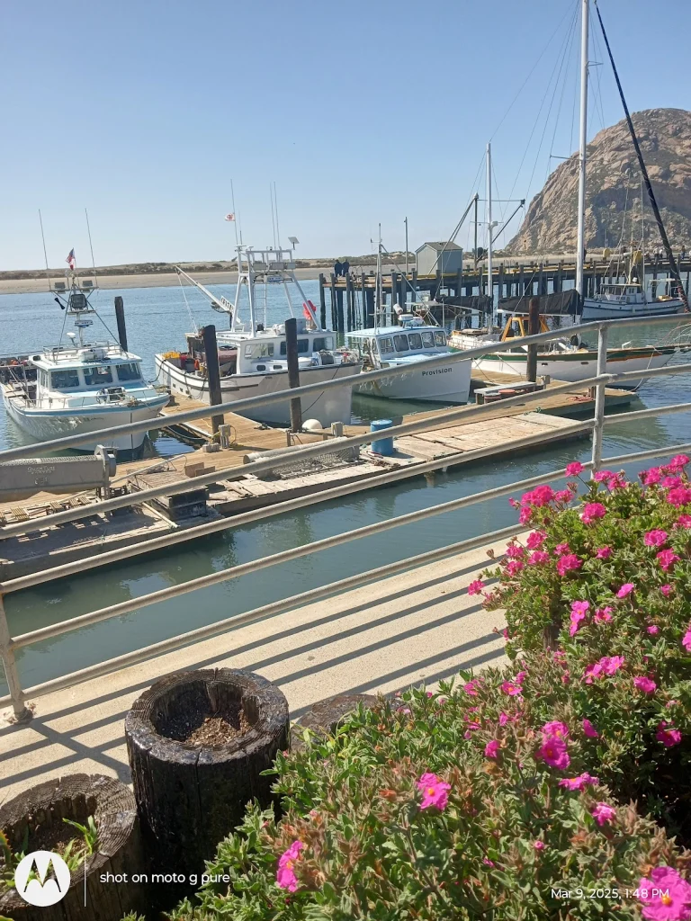 Rockview Inns & Suites, a dog-friendly hotel in Morro Bay, California