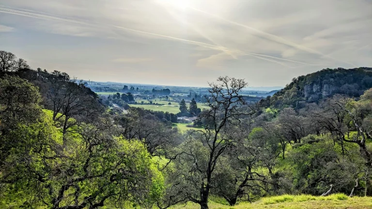 Rockville Hills Regional Park, a dog-friendly hiking trail in Fairfield, California