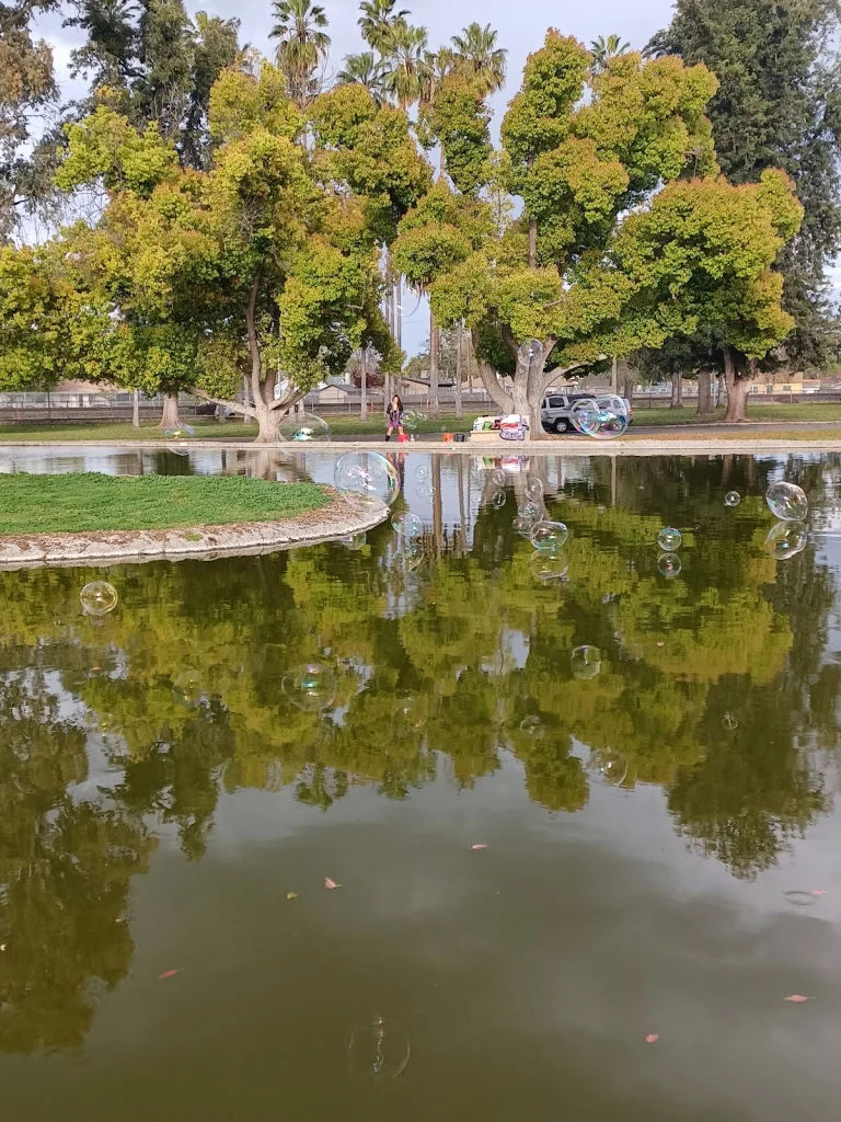 Roeding Park Dog Park