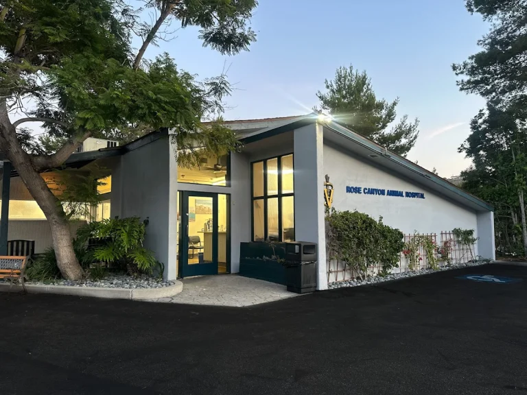 Rose Canyon Animal Hospital, a dog-friendly veterinary clinic in San Diego, California