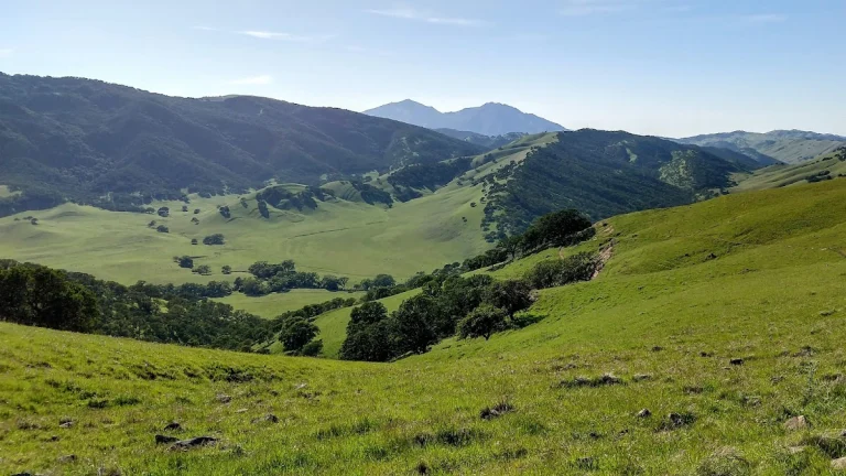 Round Valley Lake Nature Trail, a dog-friendly hiking trail in Greenville, California