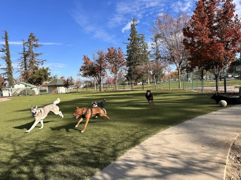 Roy M. Butcher Dog Park, a dog-friendly dog park in San Jose, California