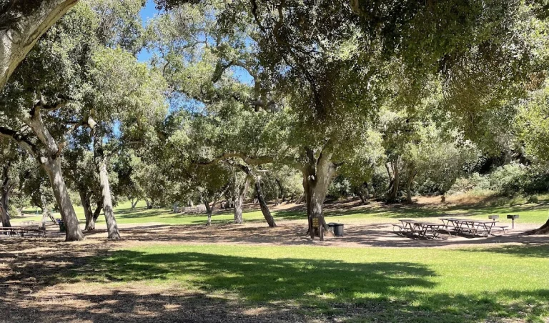 Royal Oaks Park, a dog-friendly hiking trail in Watsonville, California