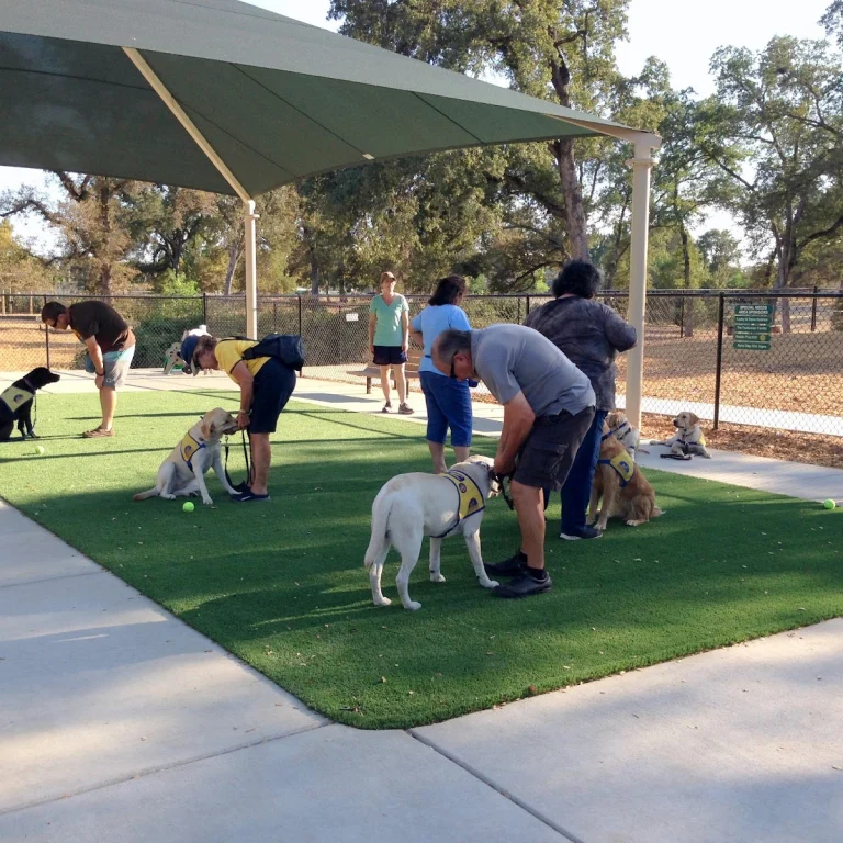 Rruff Dog Park
