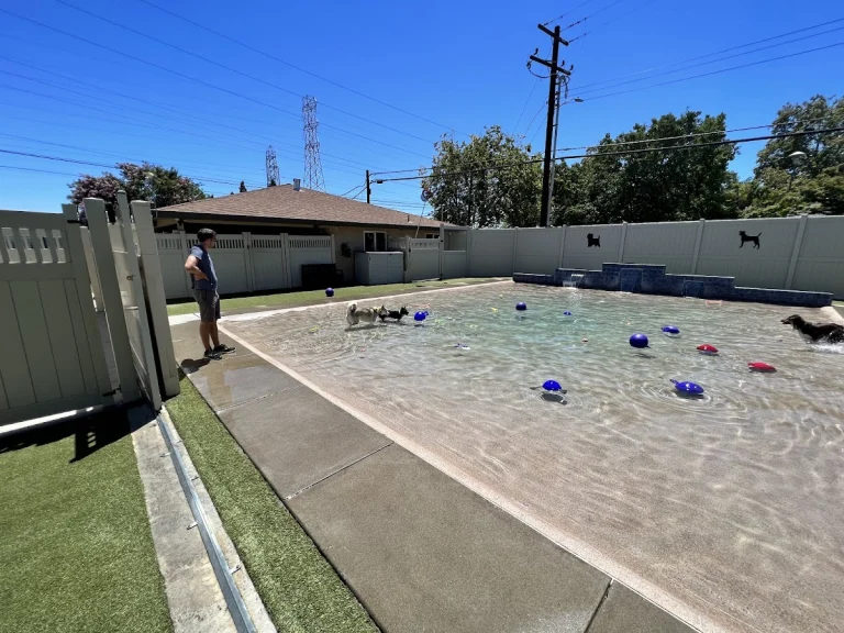 Sacramento Pet Resort & Spa, a dog-friendly pet boarding facility in Sacramento, California
