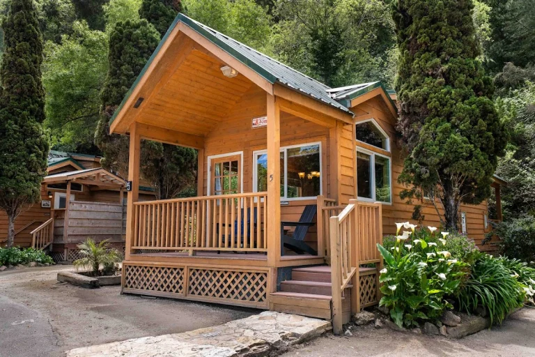 Saddle Mountain Ranch, a dog-friendly attraction in Carmel By The Sea, California