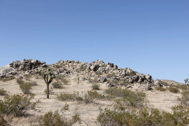 Saddleback Butte State Park Google Places photo