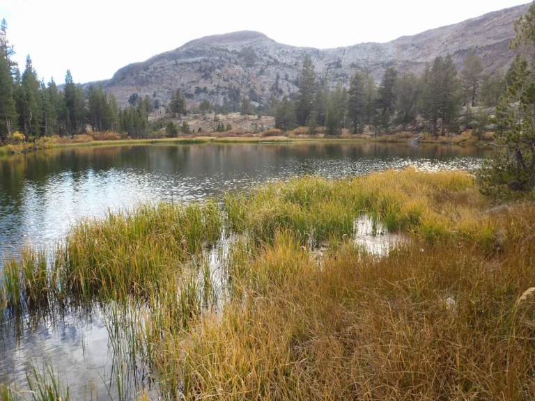 Saddlebag Lake Loop Trail, a dog-friendly hiking trail in Lee Vining, California