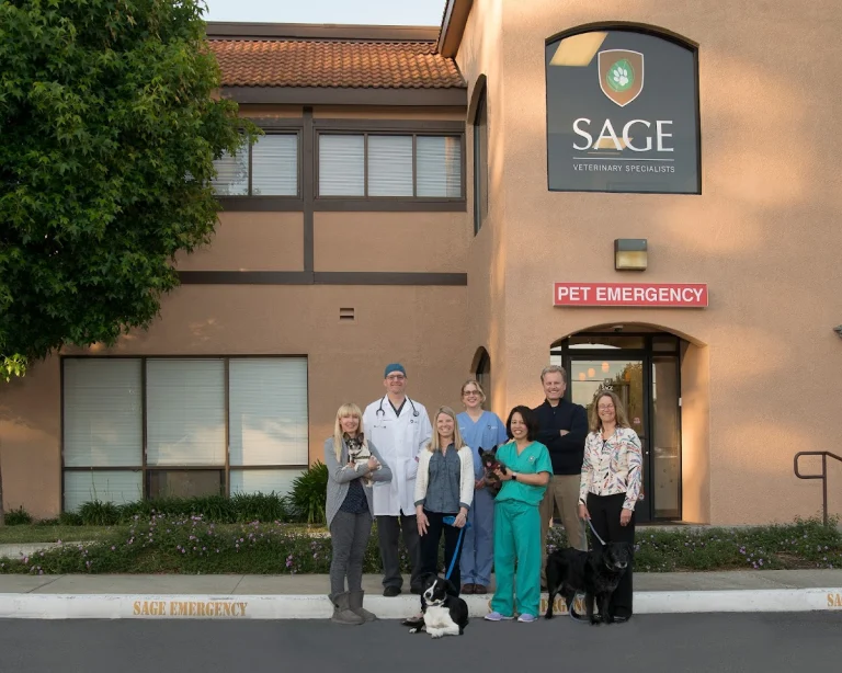 SAGE veterinary center, a dog-friendly veterinary clinic in Concord, California