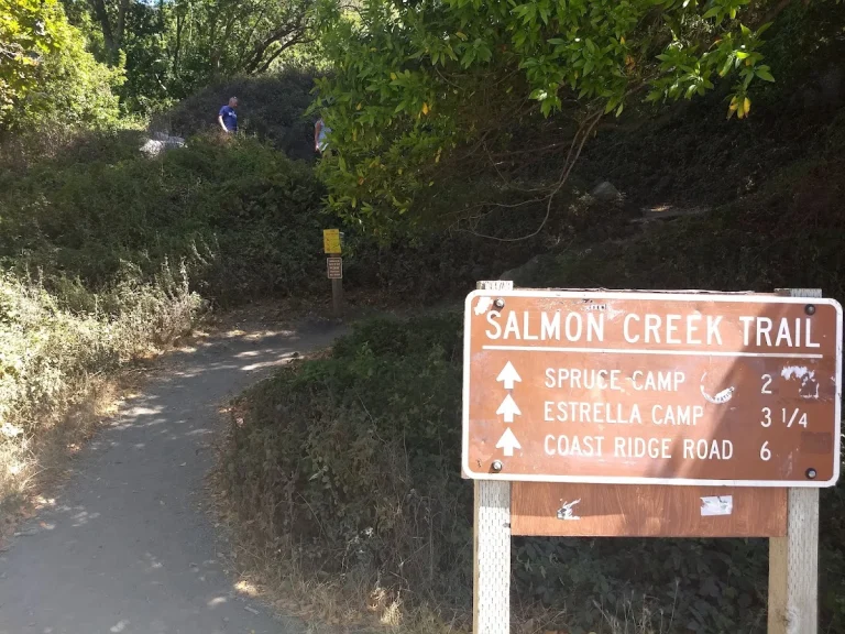 Salmon Creek Trail, a dog-friendly hiking trail in Big Sur, California