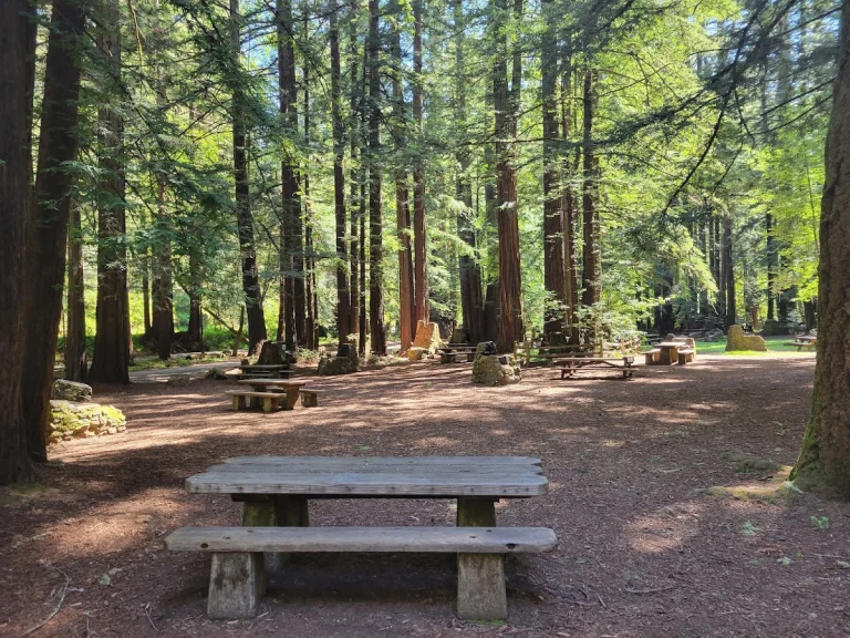 Samuel P. Taylor State Park, a dog-friendly park in Lagunitas, California