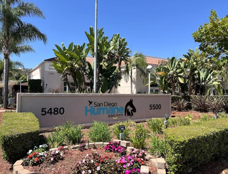 San Diego Humane Society, a dog-friendly animal rescue in San Diego, California
