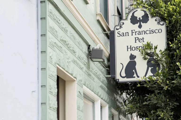 San Francisco Pet Hospital, San Francisco
