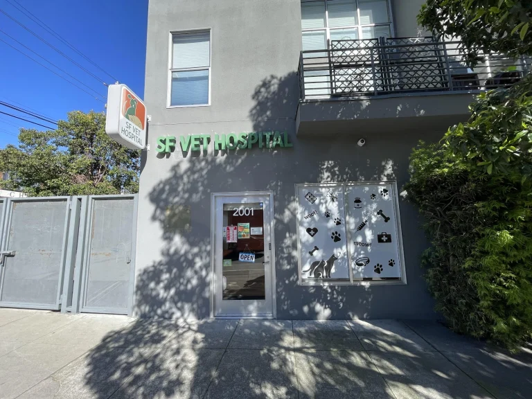 San Francisco Vet Specialists Google Places photo