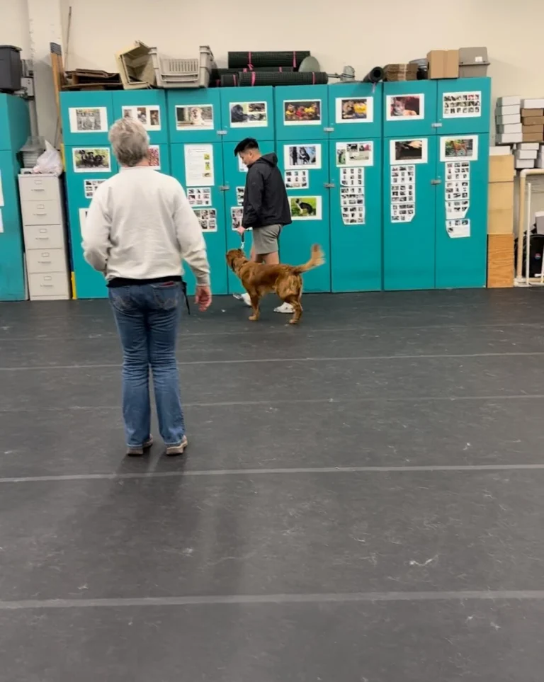 San Lorenzo Dog Training Club, San Leandro