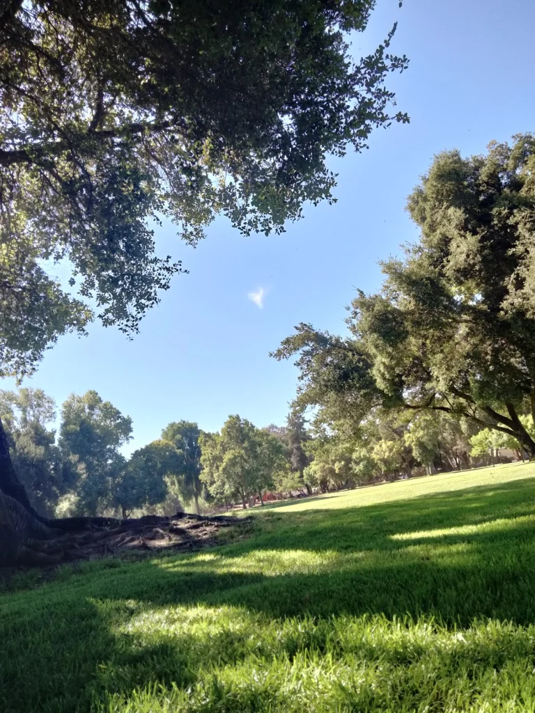 San Lorenzo Park, King City
