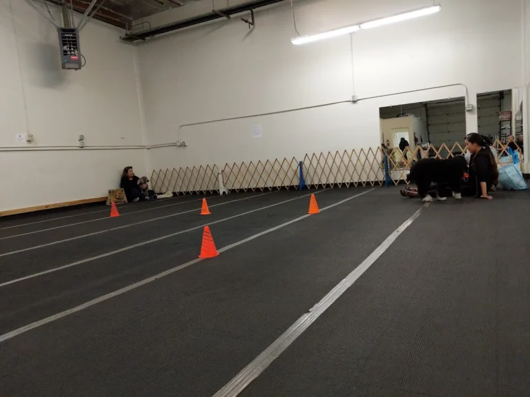 San Mateo Dog Training Club, San Carlos