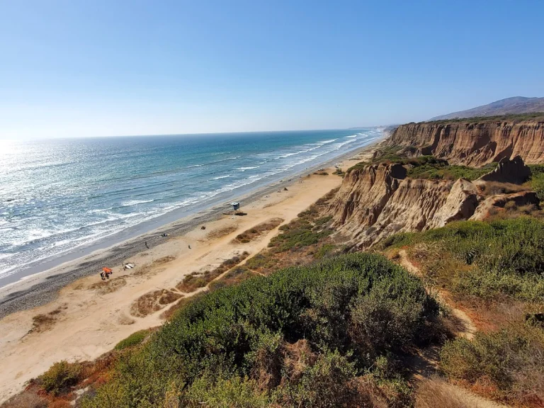 San Onofre State Beach, a dog-friendly campground in San Clemente, California