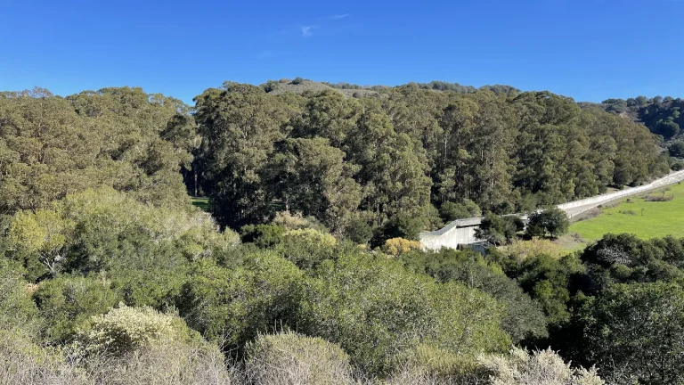 San Pablo Recreation Area Google Places photo