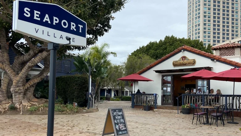 San Pasqual Winery Tasting, a dog-friendly restaurant in San Diego, California