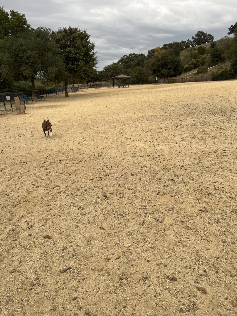 San Ramon Dog Parks