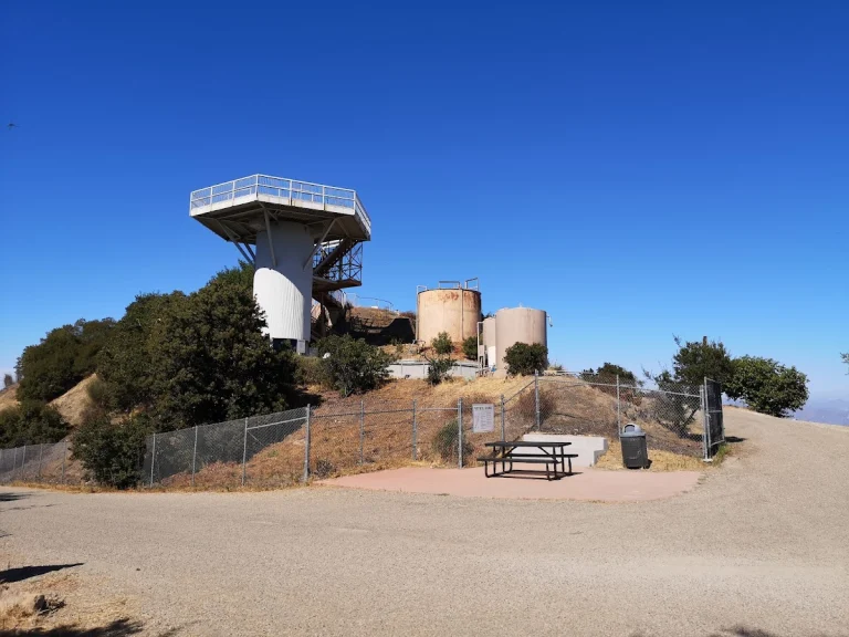 San Vicente Mountain Park, a dog-friendly hiking trail in Encino, California