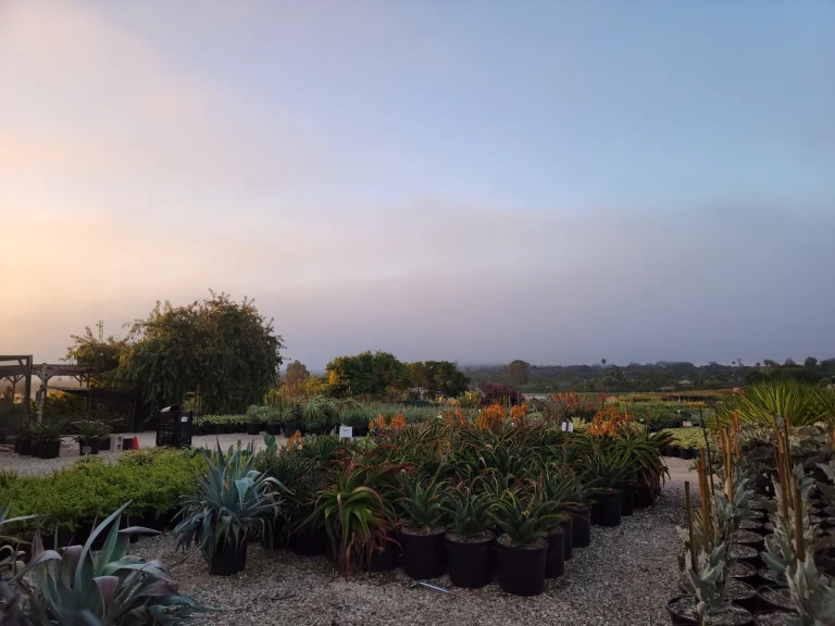 Santa Barbara County