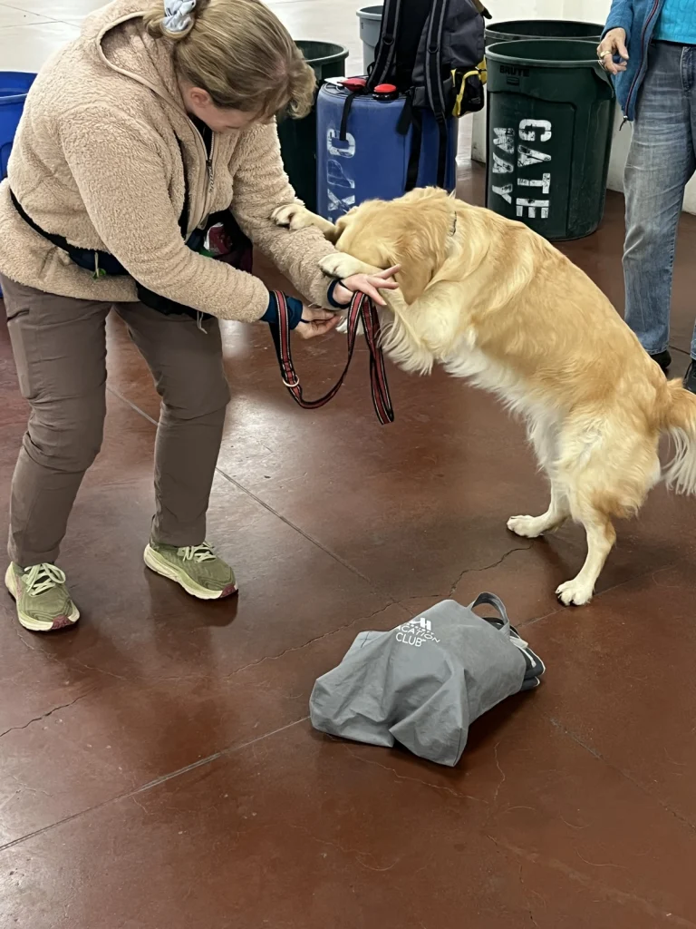 Santa Clara Dog Training Club, San Jose