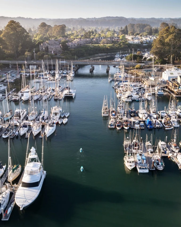 Santa Cruz Harbor RV Park, a dog-friendly campground in Santa Cruz, California