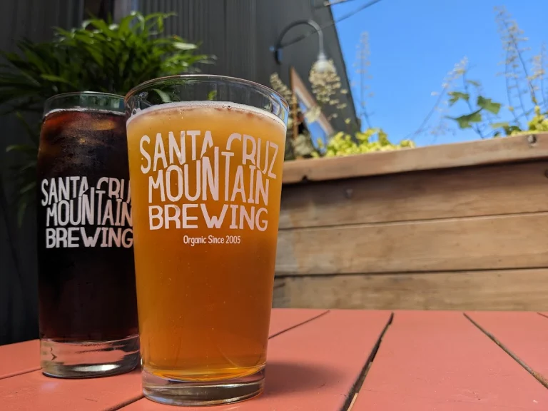 Santa Cruz Mountain Brewing, a dog-friendly bar in Santa Cruz, California
