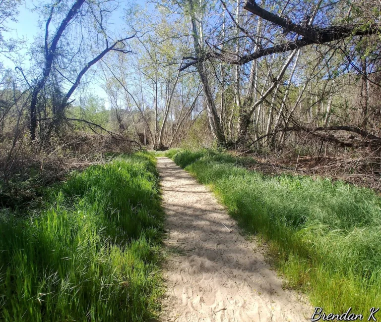 Santa Margarita Preserve, a dog-friendly park in Fallbrook, California