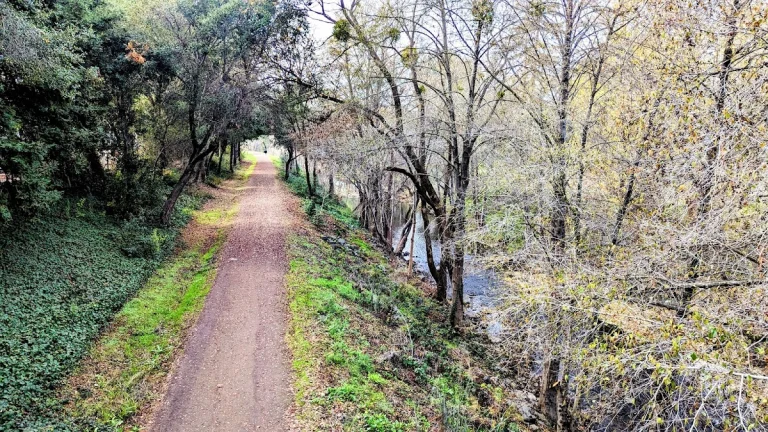 Santa Rosa Creek Trail, a dog-friendly hiking trail in Santa Rosa, California