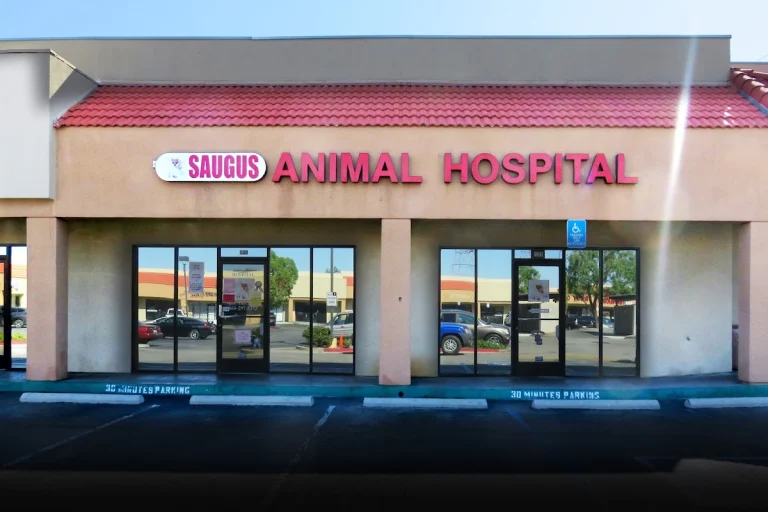 Saugus Animal Hospital, a dog-friendly veterinary clinic in Santa Clarita, California