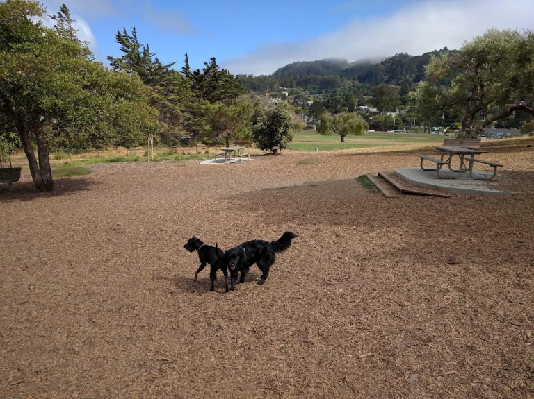 Sausalito Dog Park