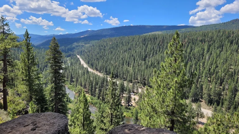 Sawmill Trail