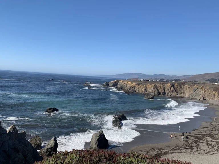 Schoolhouse Beach, a dog-friendly beach in Bodega Bay, California