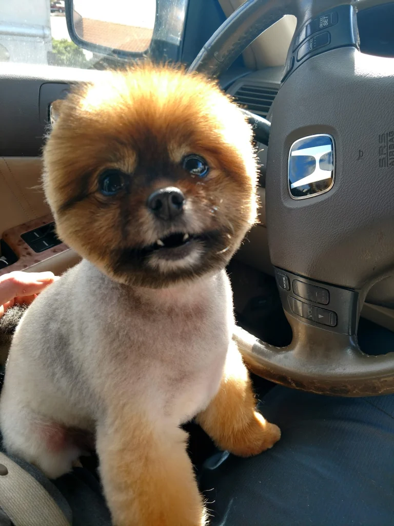 Scoobi Doo’s Inc. Google Places photo