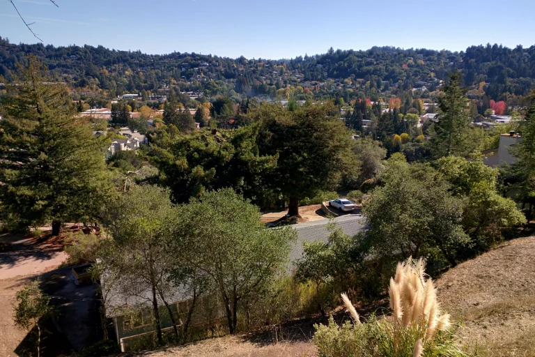 Scotts Valley