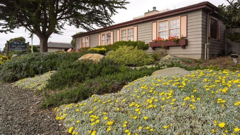 Sea Otter Inn, Cambria