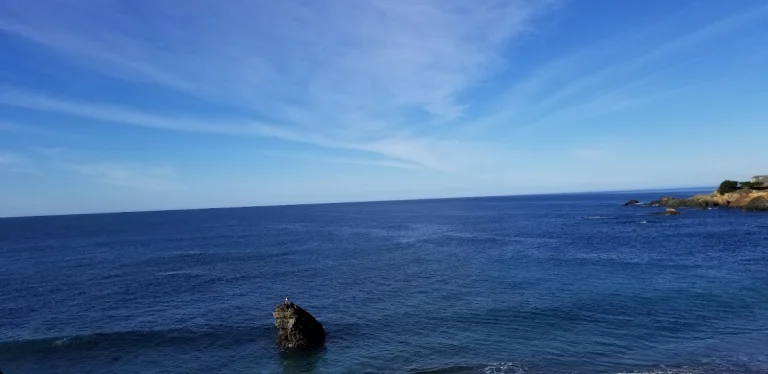 Sea Ranch Escape, a dog-friendly restaurant in The Sea Ranch, California