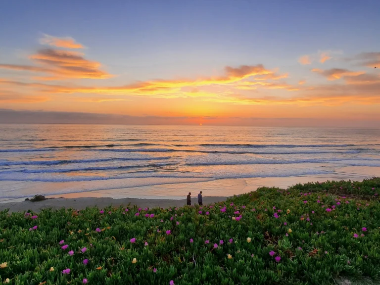 Seagrove Park Google Places photo