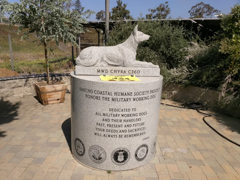 Second Chance Dog rescue Google Places photo