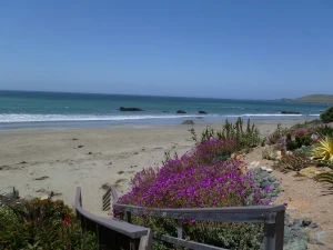 See Lyon Beach Rentals
