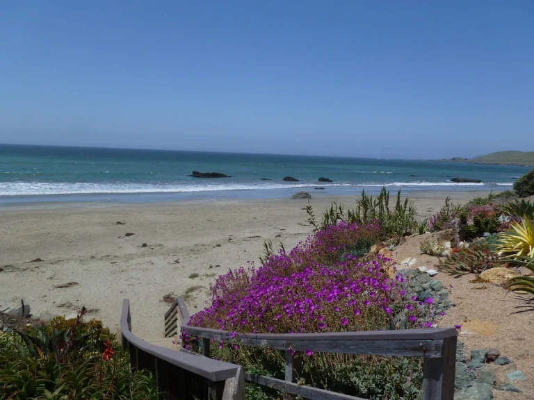 See Lyon Beach Rentals, a dog-friendly vacation rental in Cayucos, California