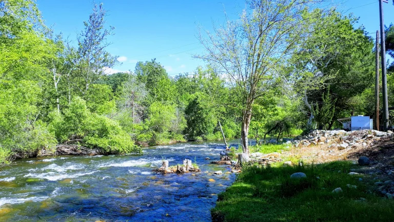Sequoia RV Ranch Google Places photo